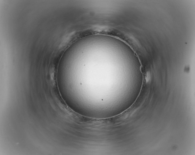 X0000090461396200707272227