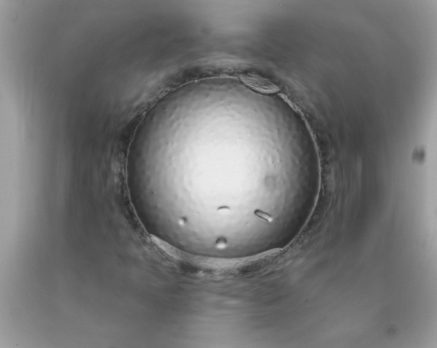 X0000090461397200707272227