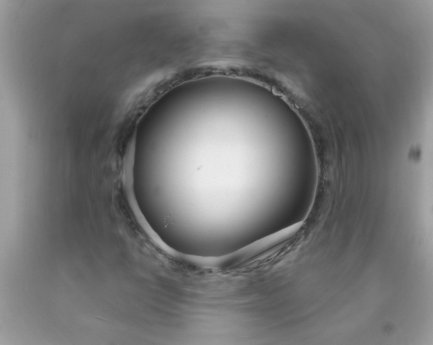 X0000090461398200707272227