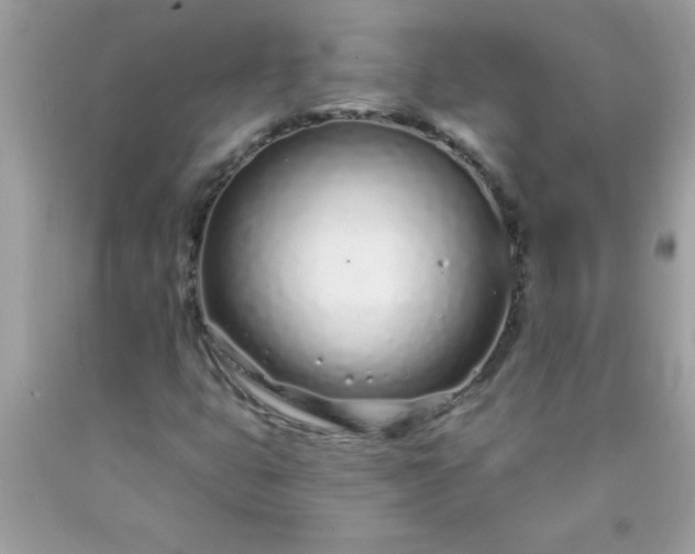 X0000090461399200707272227