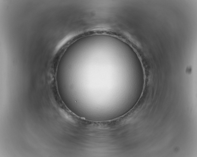 X0000090461400200707272227
