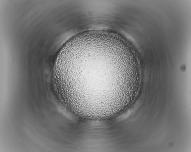X0000090461401200707272227