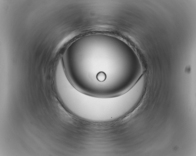 X0000090461402200707272227