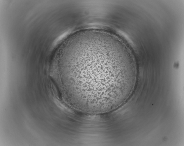 X0000090461403200707272227