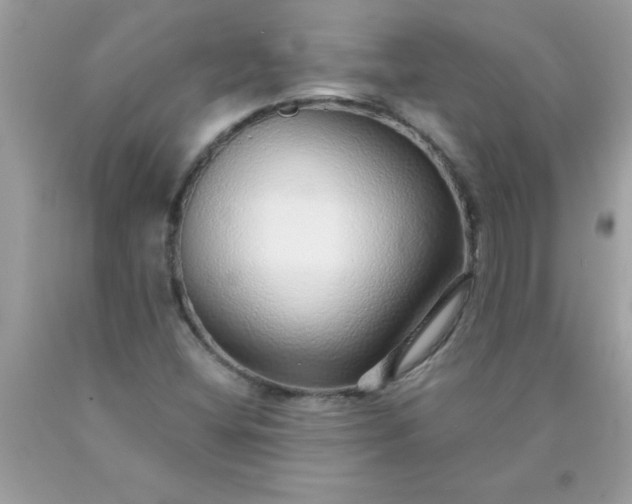 X0000090461404200707272227