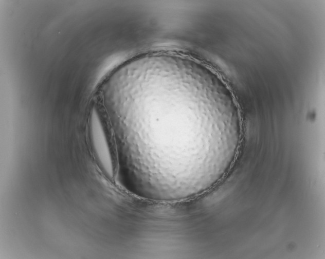 X0000090461405200707272227