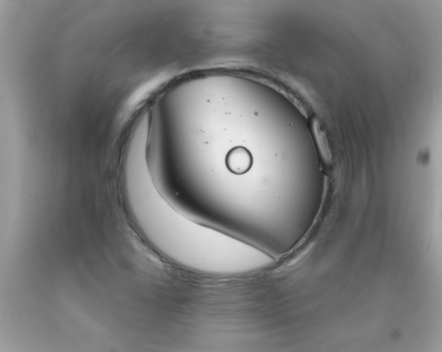 X0000090461406200707272227