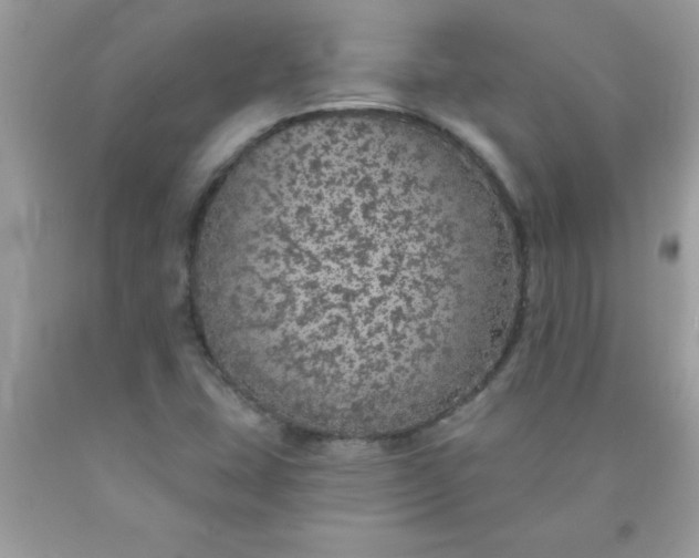 X0000090461407200707272227