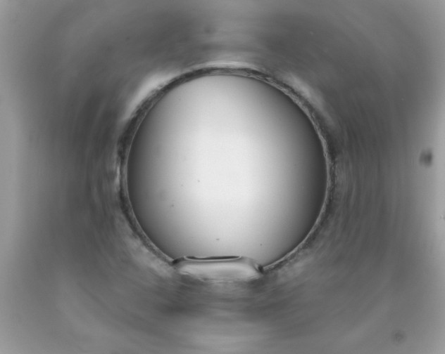 X0000090461408200707272227