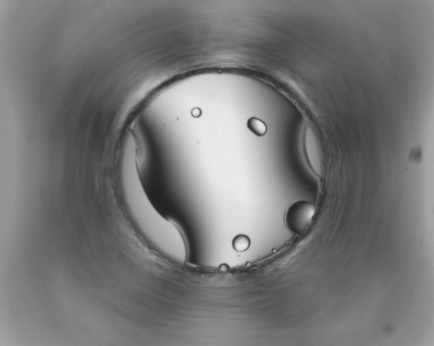 X0000090461410200707272227