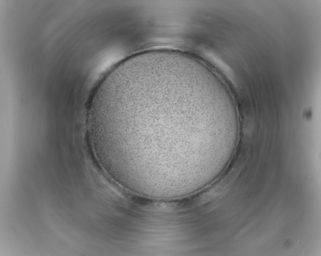 X0000090461411200707272227