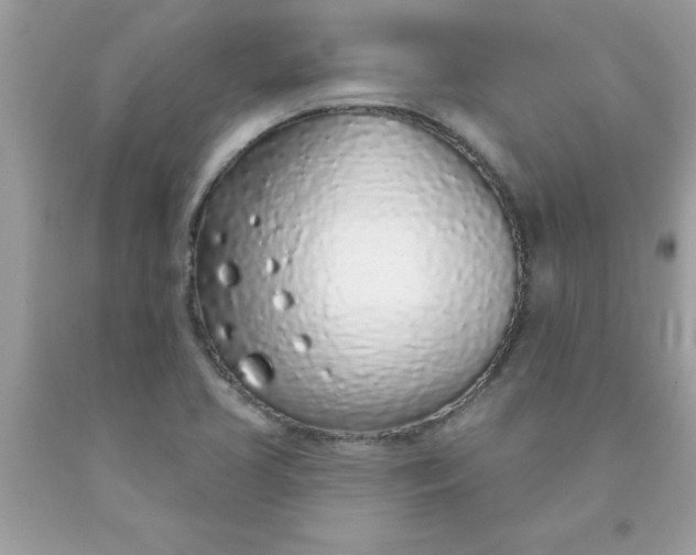 X0000090461413200707272227
