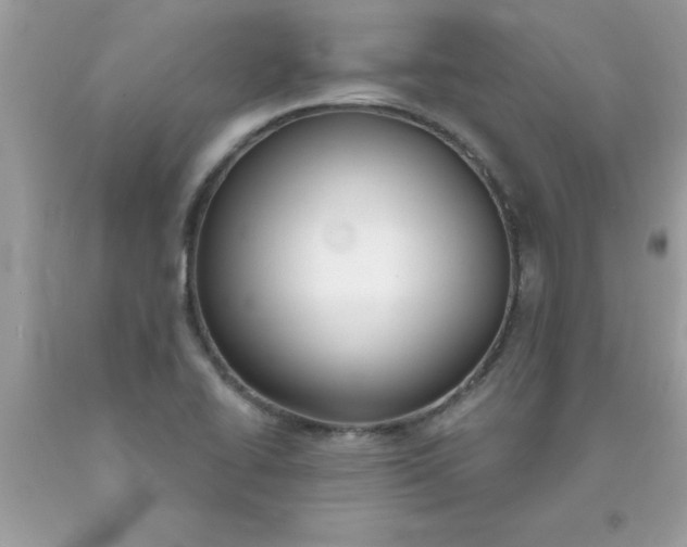 X0000090461414200707272227
