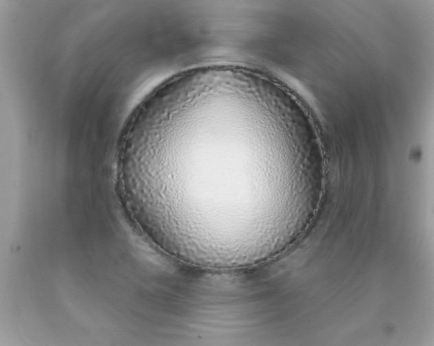 X0000090461415200707272227