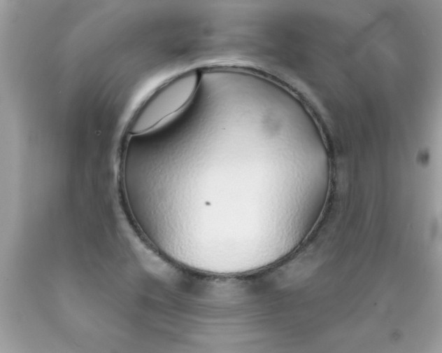 X0000090461416200707272227