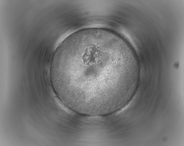 X0000090461417200707272227