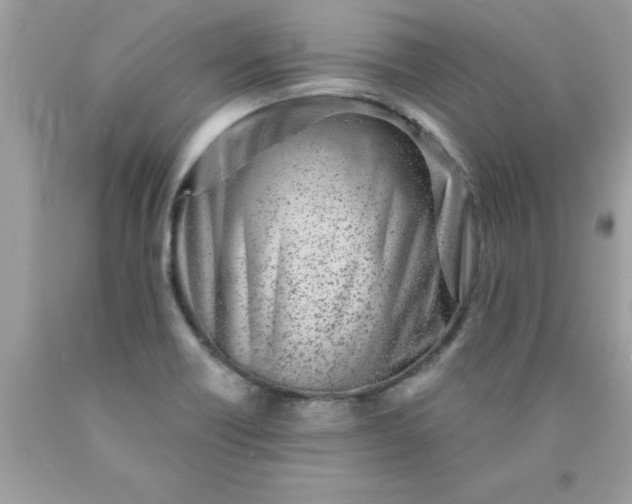 X0000090461418200707272227