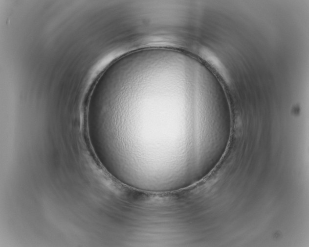 X0000090461419200707272227