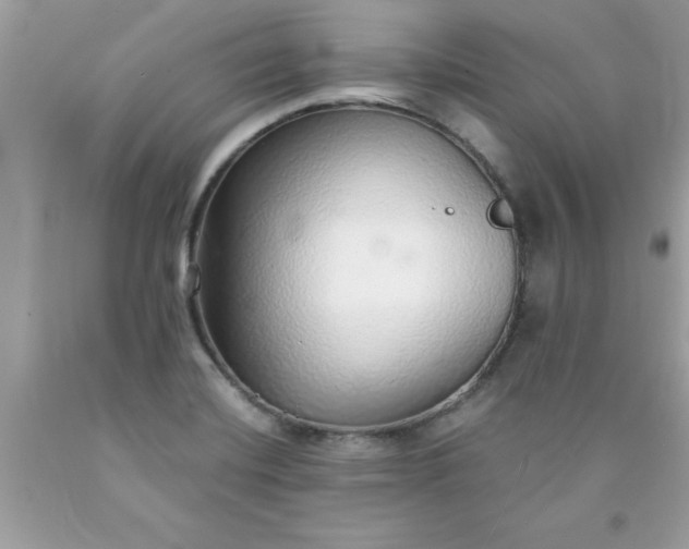 X0000090461420200707272227