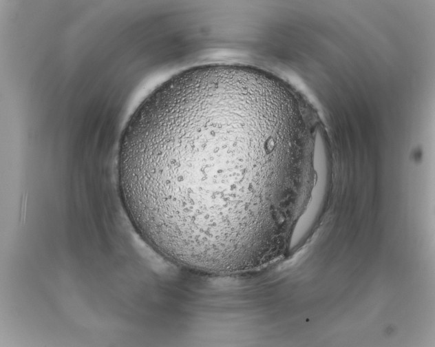 X0000090461421200707272227