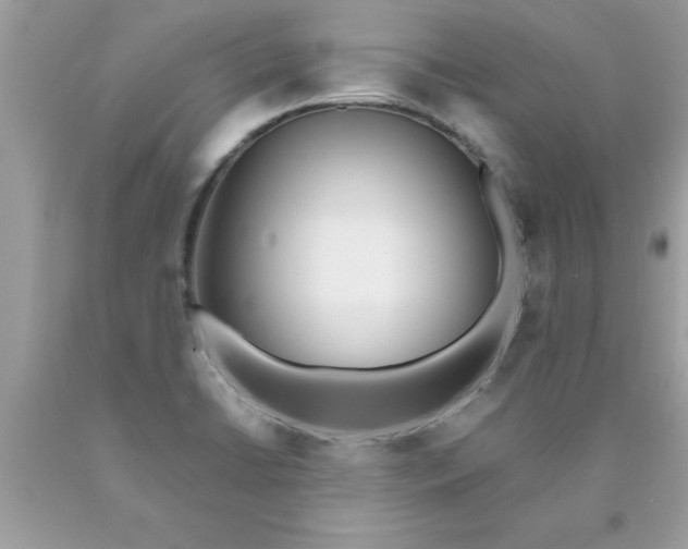 X0000090461422200707272227