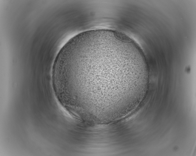 X0000090461423200707272227