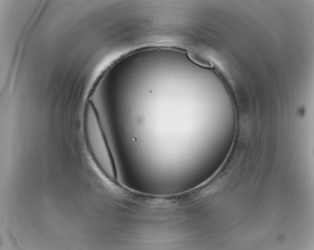 X0000090461424200707272227