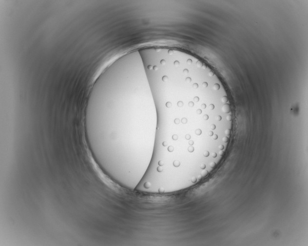 X0000090461425200707272227