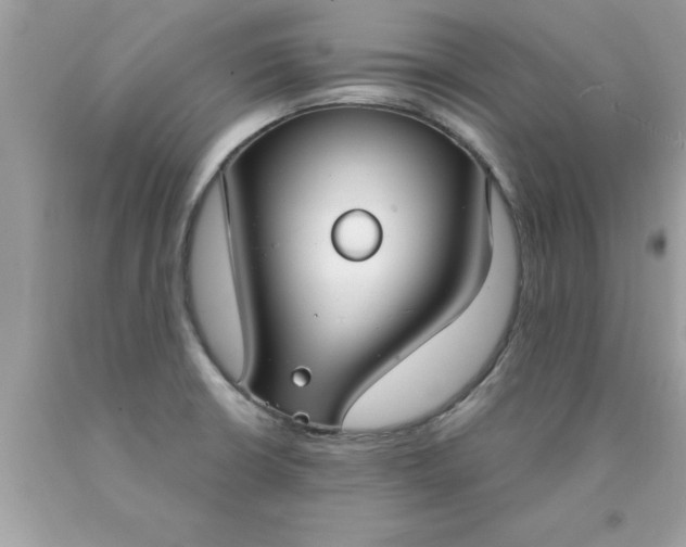 X0000090461426200707272227