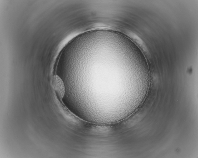 X0000090461427200707272227