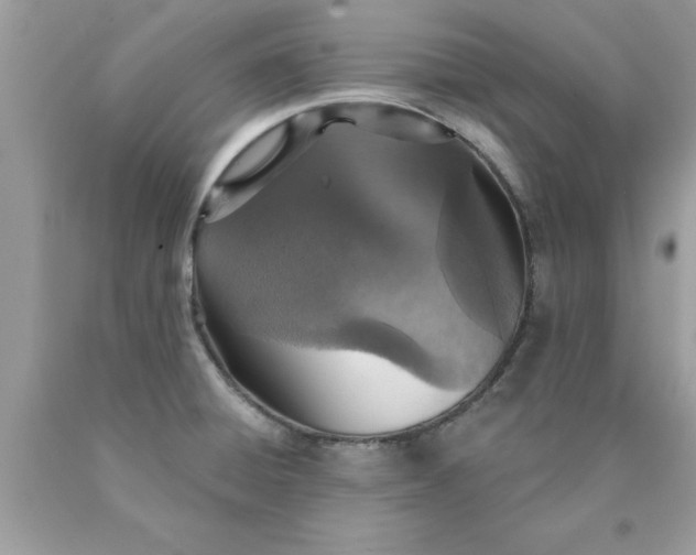 X0000090461428200707272227