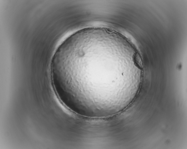 X0000090461429200707272227