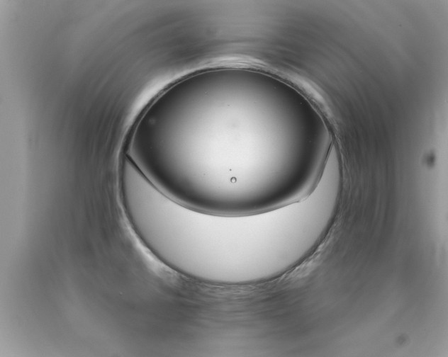 X0000090461430200707272227