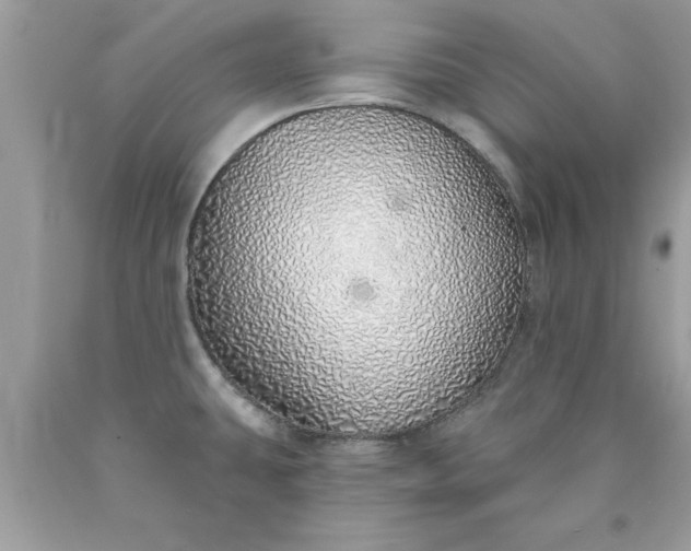 X0000090461431200707272227
