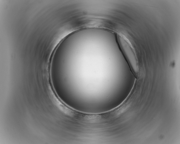 X0000090461434200707272227