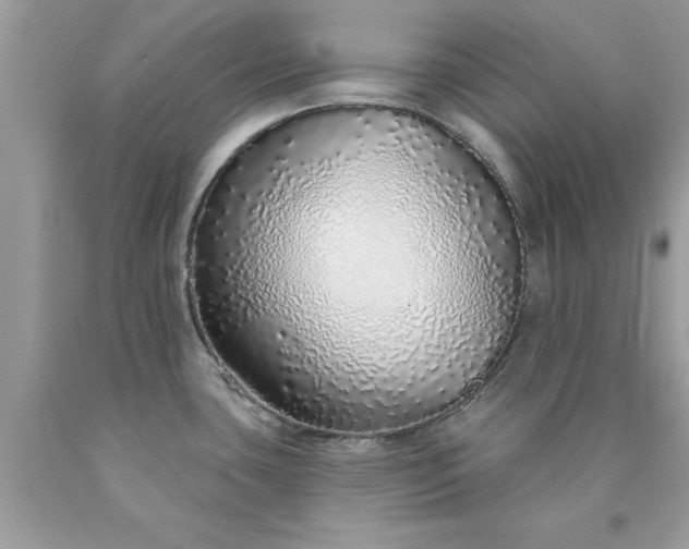 X0000090461435200707272227