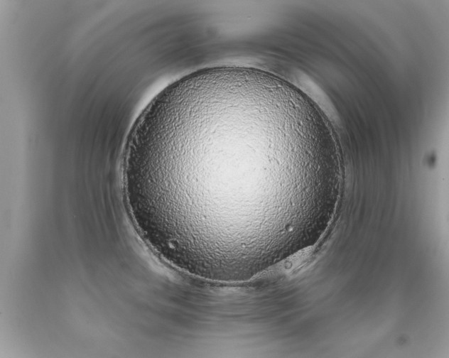 X0000090461436200707272227