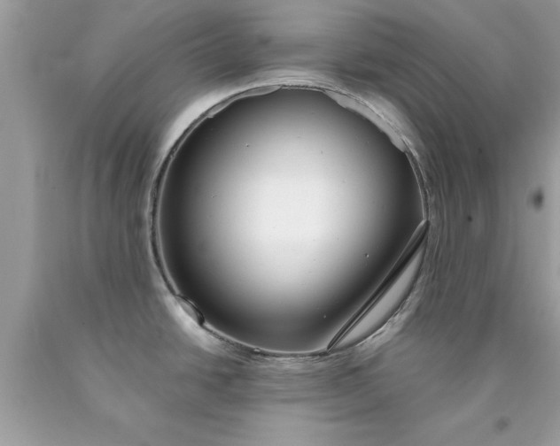 X0000090461438200707272227