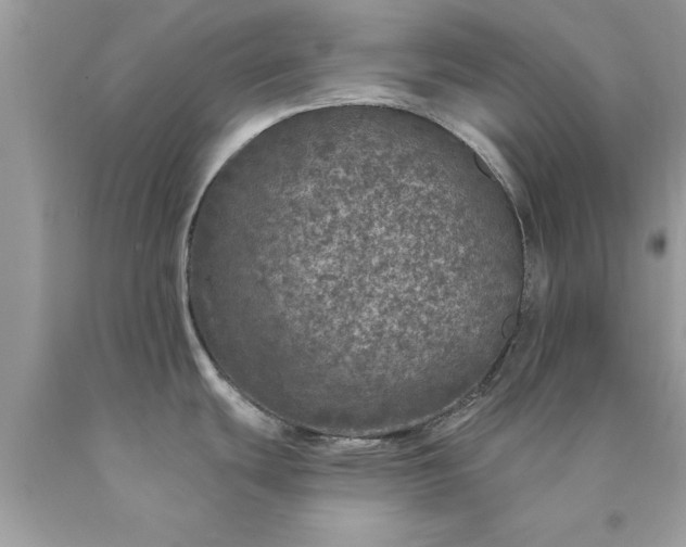 X0000090461439200707272227