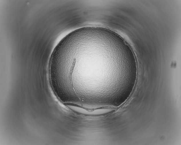 X0000090461440200707272227