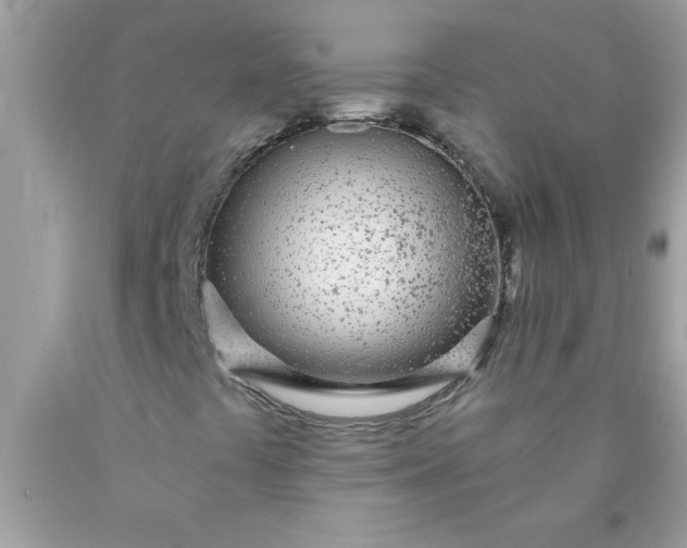 X0000090461441200707272227