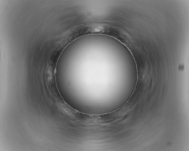 X0000090461442200707272227