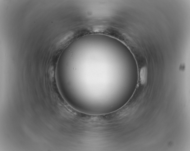 X0000090461443200707272227