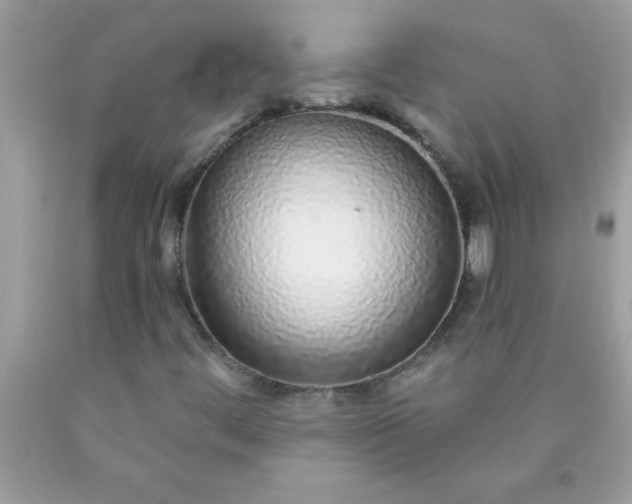 X0000090461444200707272227