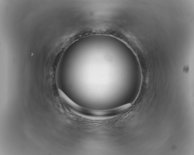 X0000090461445200707272227