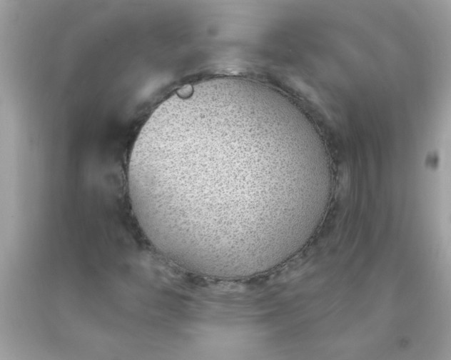 X0000090461446200707272227