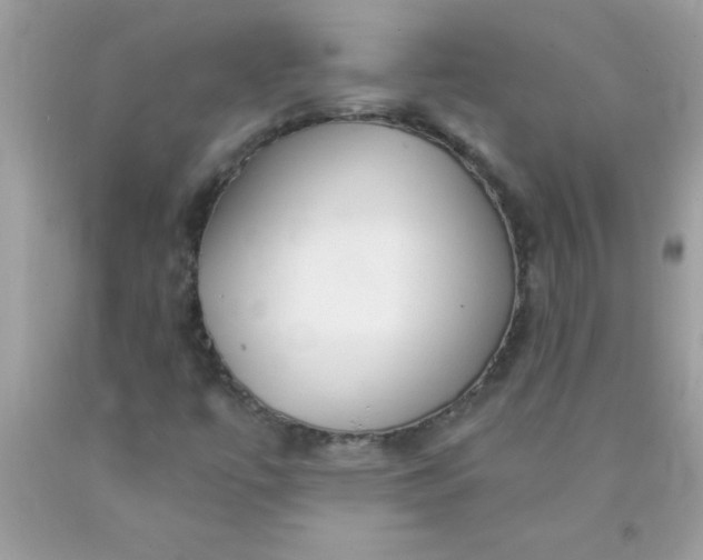 X0000090461447200707272227