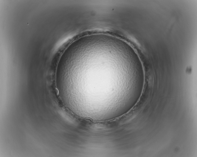 X0000090461448200707272227