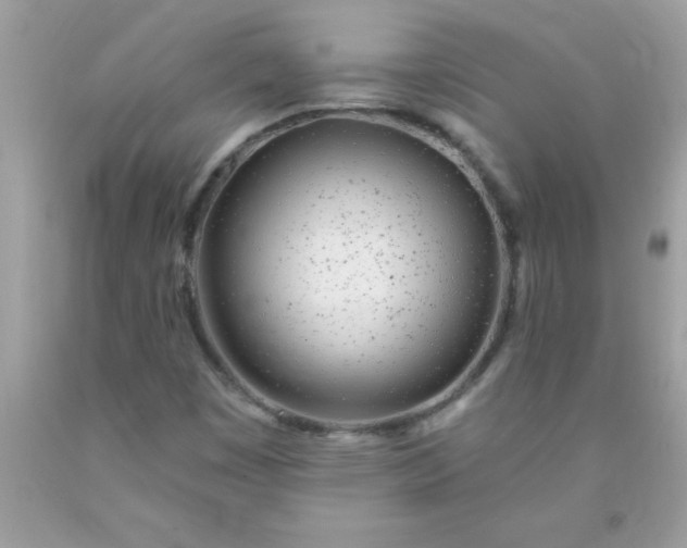 X0000090461449200707272227