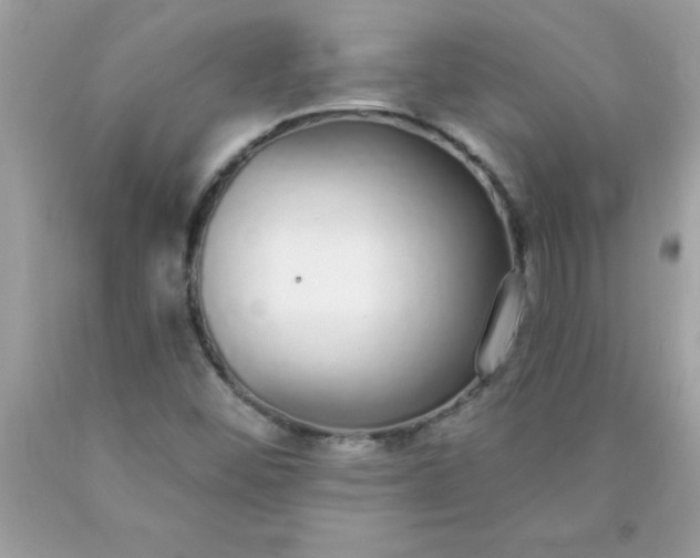 X0000090461452200707272227